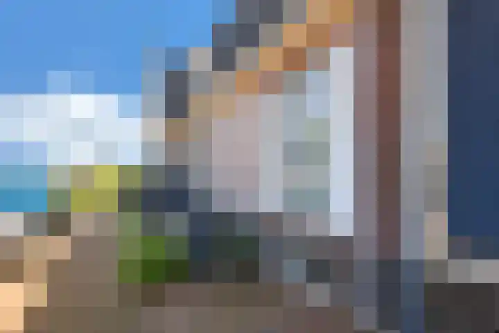 Ooster Vlaerdinge 103 Heerhugowaard thumbnail 4