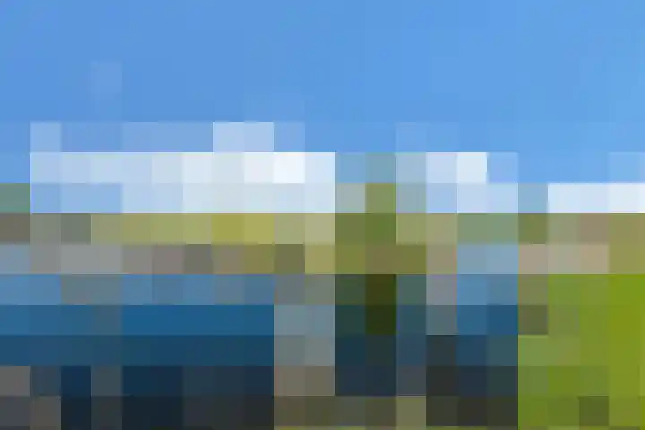 Ooster Vlaerdinge 103 Heerhugowaard thumbnail 45
