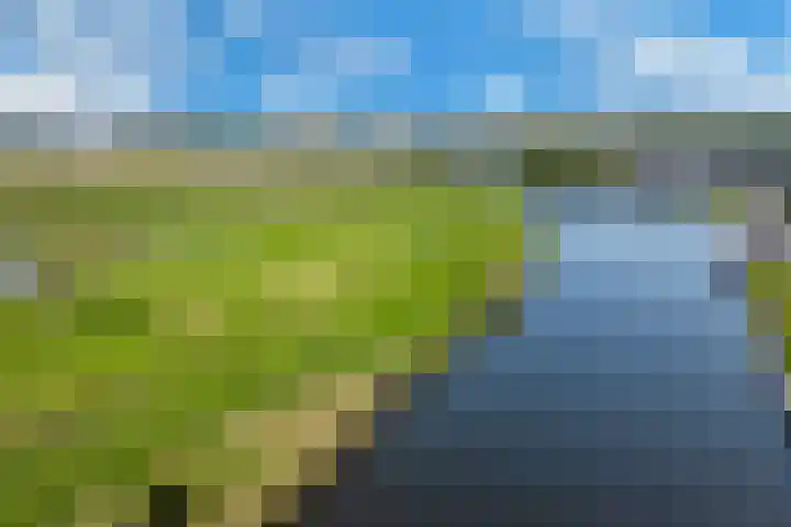 Ooster Vlaerdinge 103 Heerhugowaard thumbnail 47