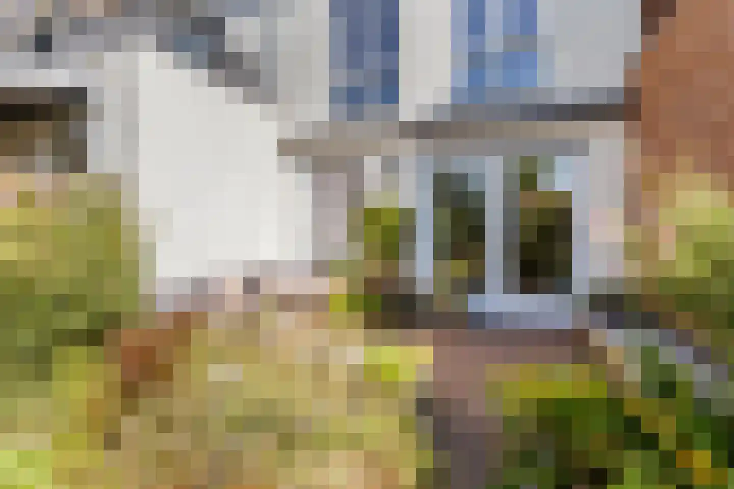Ooster Vlaerdinge 29 Heerhugowaard thumbnail 30
