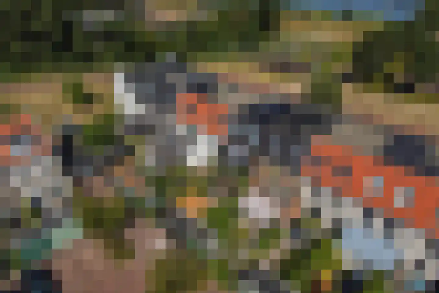Ooster Vlaerdinge 29 Heerhugowaard thumbnail 33