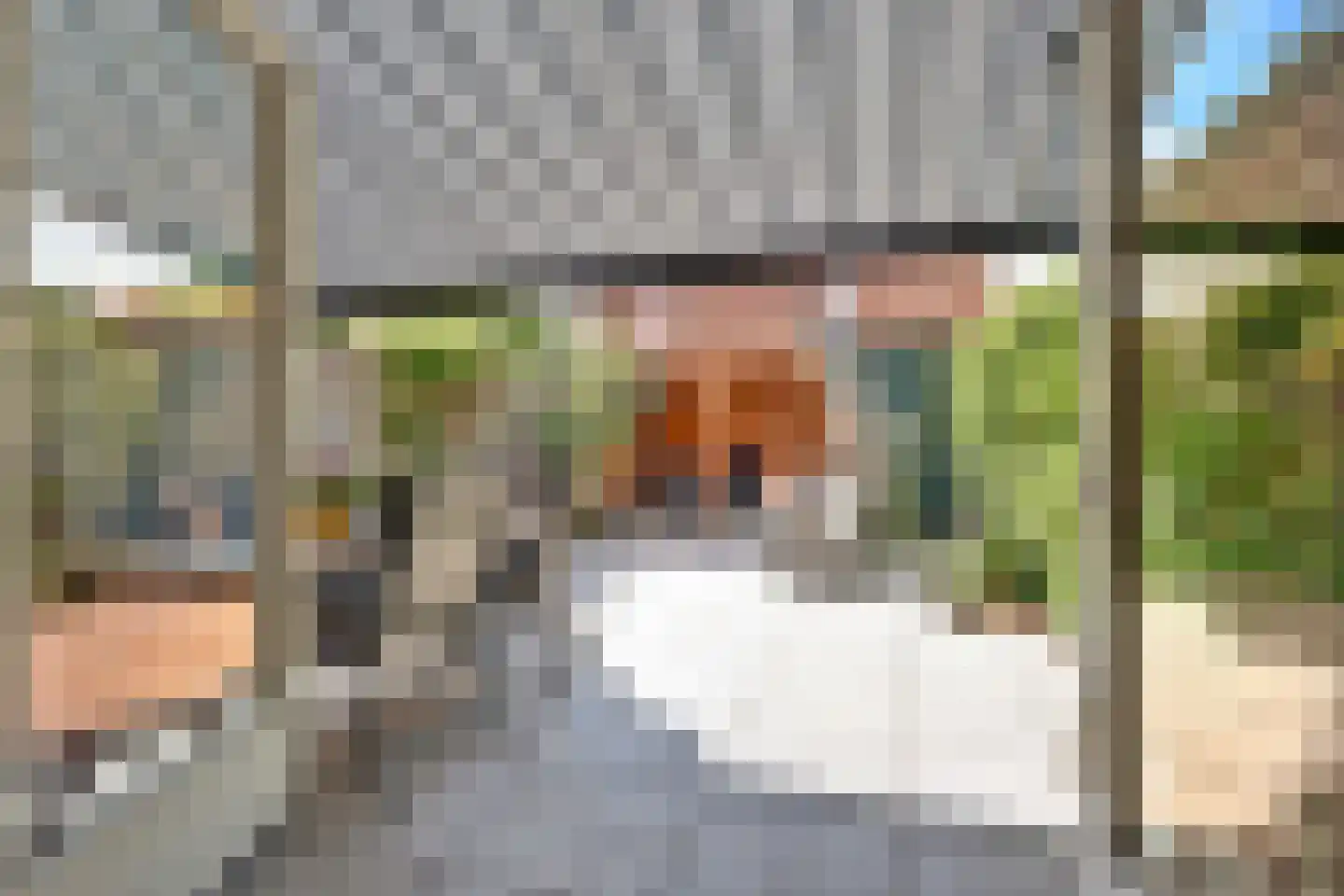 Ooster Vlaerdinge 43 Heerhugowaard thumbnail 19