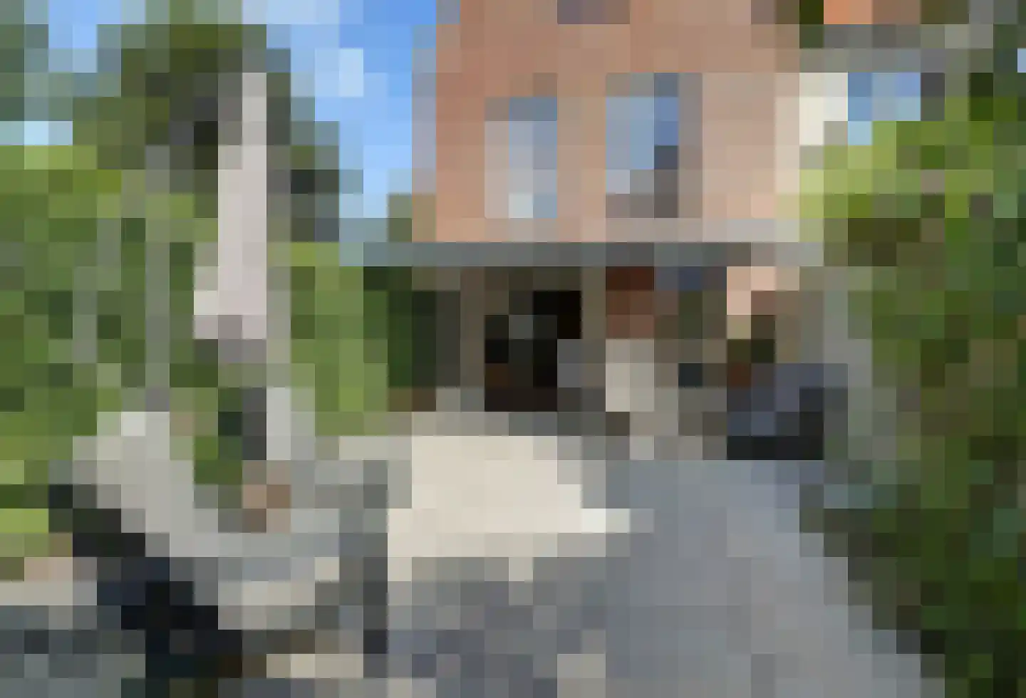 Ooster Vlaerdinge 43 Heerhugowaard thumbnail 39
