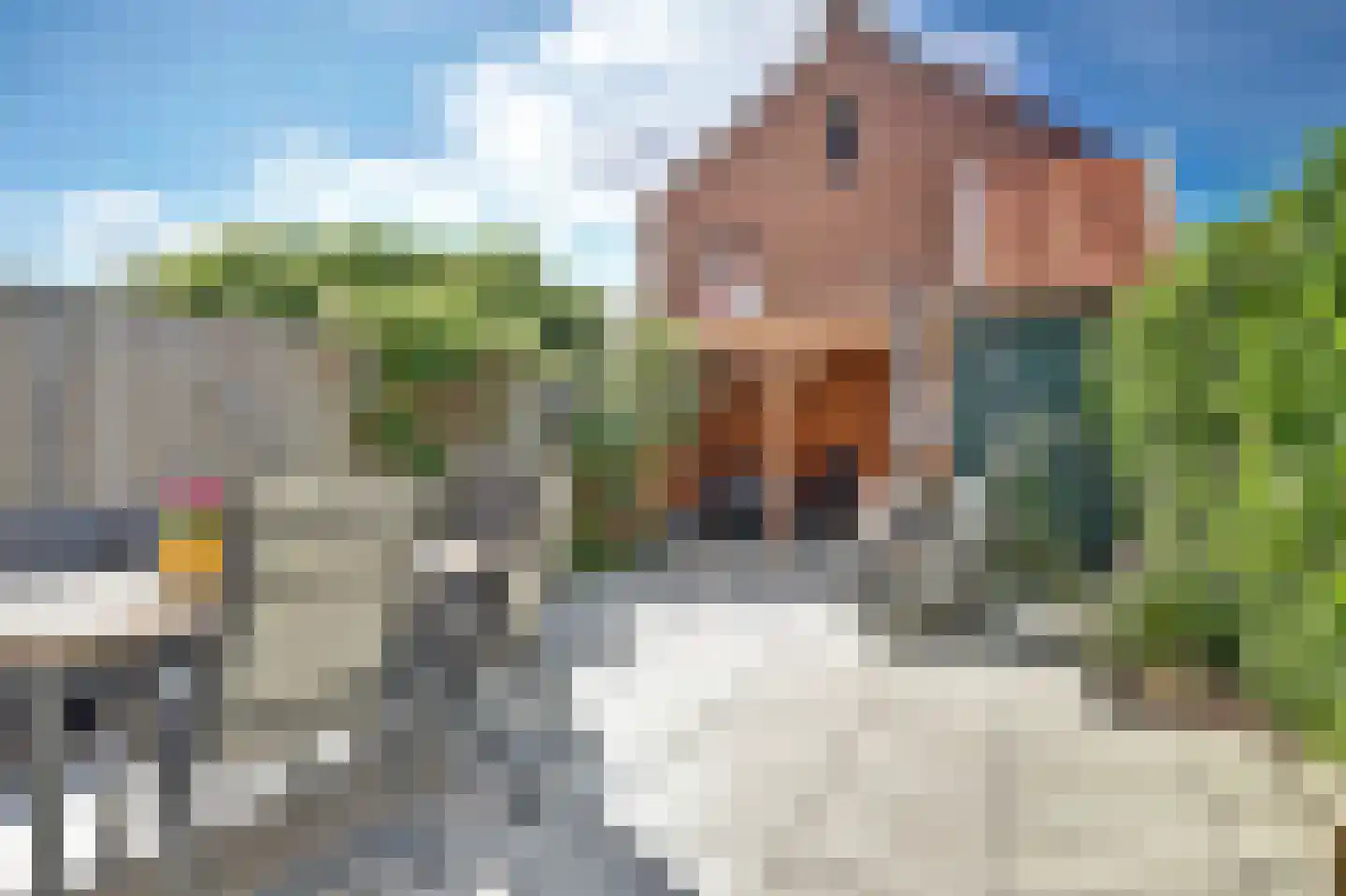 Ooster Vlaerdinge 43 Heerhugowaard thumbnail 40