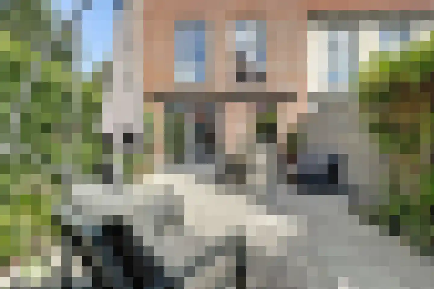 Ooster Vlaerdinge 43 Heerhugowaard thumbnail 44