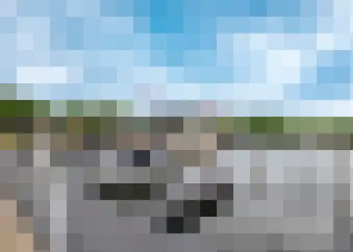 Ooster Vlaerdinge 51 Heerhugowaard thumbnail 37
