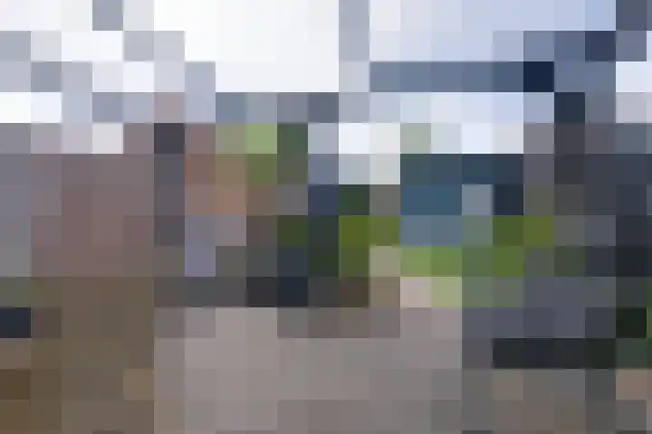 Ooster Vlaerdinge 77 Heerhugowaard thumbnail 36