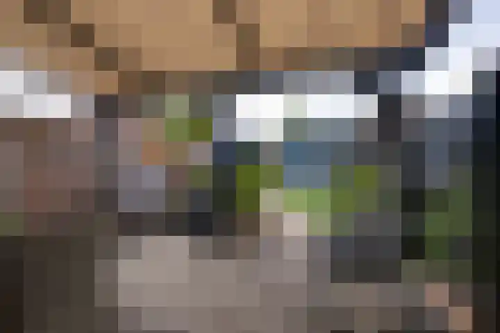 Ooster Vlaerdinge 77 Heerhugowaard thumbnail 37