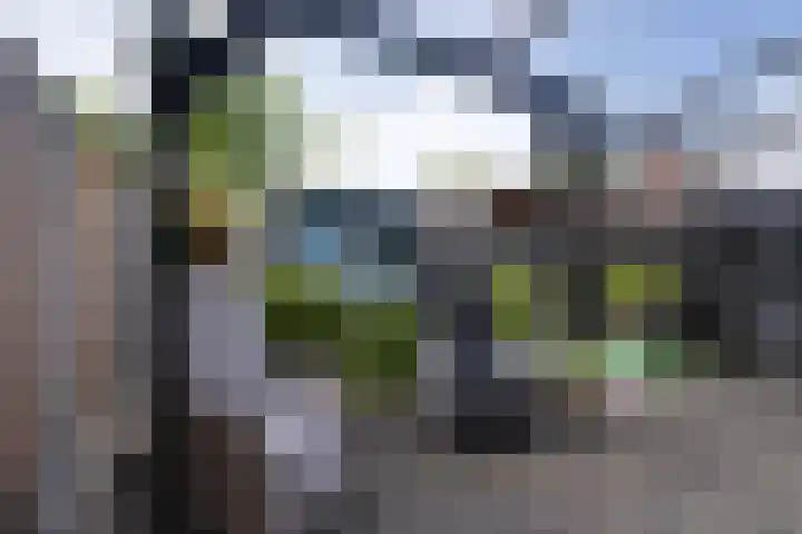 Ooster Vlaerdinge 77 Heerhugowaard thumbnail 38