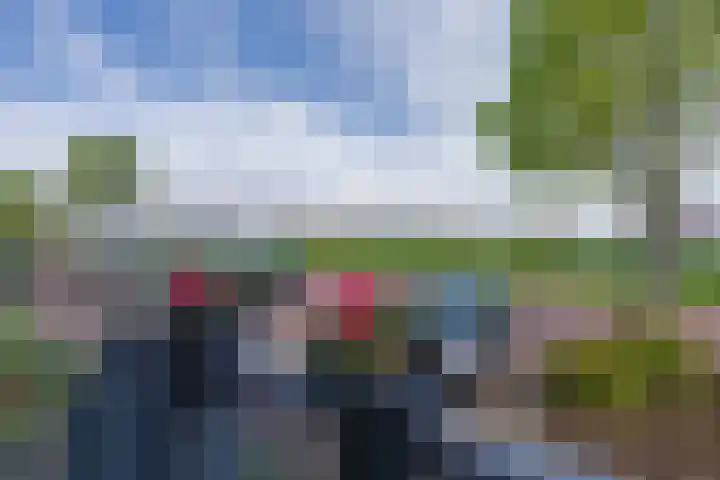 Ooster Vlaerdinge 77 Heerhugowaard thumbnail 4