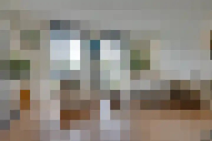 Ooster Vlaerdinge 77 Heerhugowaard thumbnail 9