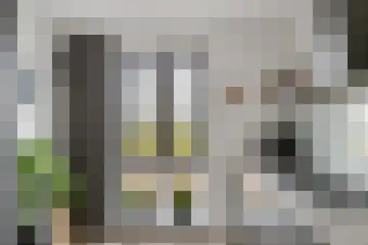 Ooster Vlaerdinge 83 Heerhugowaard thumbnail 14