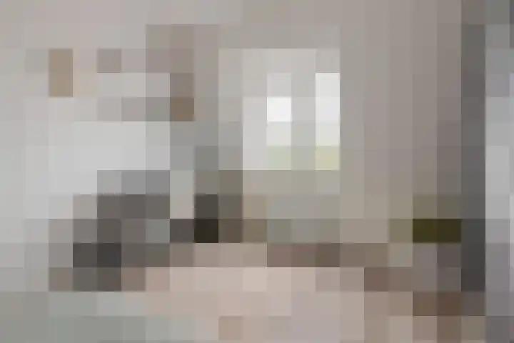 Ooster Vlaerdinge 83 Heerhugowaard thumbnail 29
