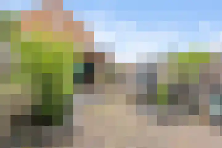 Ooster Vlaerdinge 83 Heerhugowaard thumbnail 39
