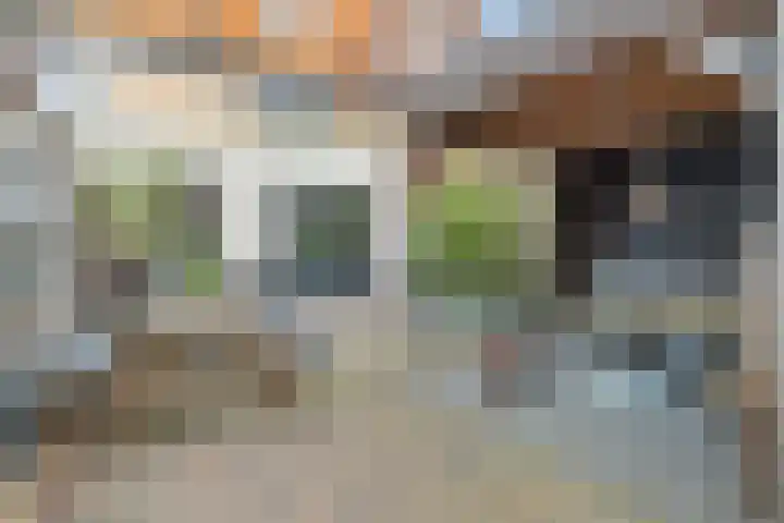 Ooster Vlaerdinge 83 Heerhugowaard thumbnail 44