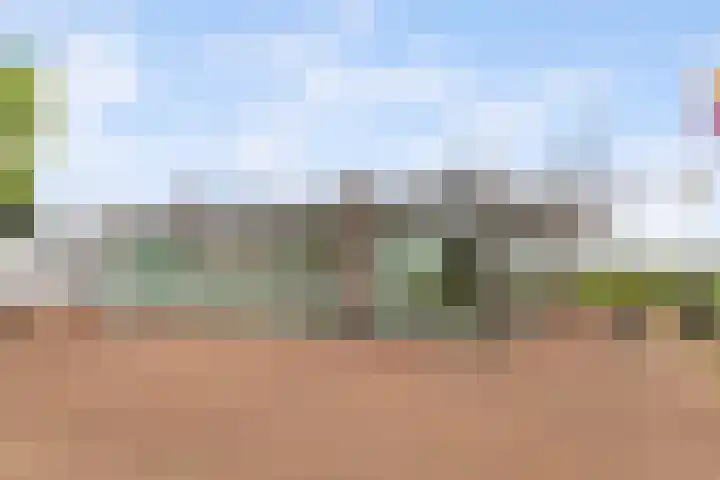 Ooster Vlaerdinge 83 Heerhugowaard thumbnail 51