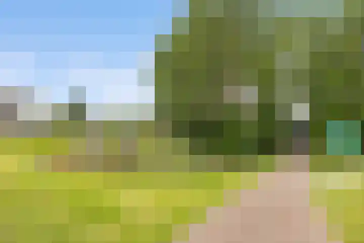 Ooster Vlaerdinge 83 Heerhugowaard thumbnail 53