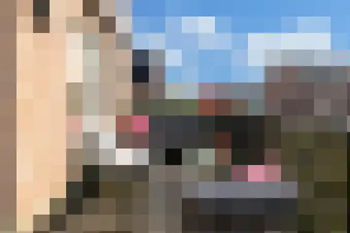 Ooster Vlaerdinge 85 Heerhugowaard thumbnail 12