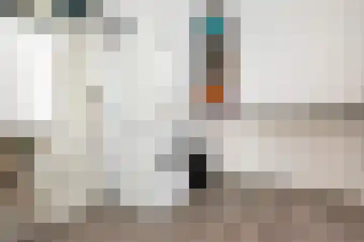 Ooster Vlaerdinge 85 Heerhugowaard thumbnail 23