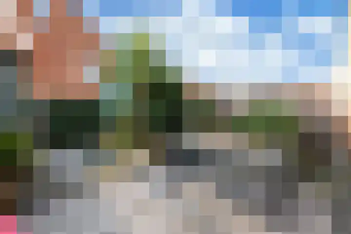 Ooster Vlaerdinge 85 Heerhugowaard thumbnail 38