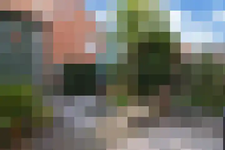 Ooster Vlaerdinge 85 Heerhugowaard thumbnail 40