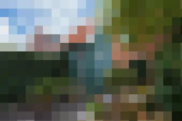 Ooster Vlaerdinge 85 Heerhugowaard thumbnail 41