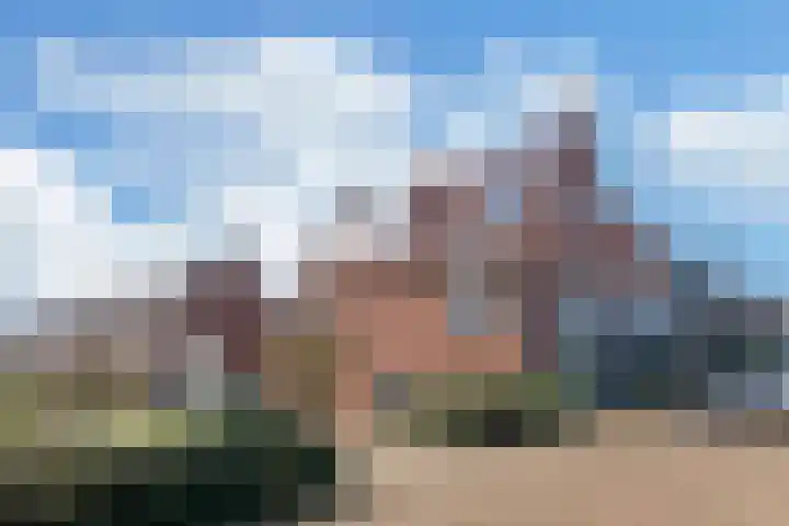Ooster Vlaerdinge 85 Heerhugowaard thumbnail 43