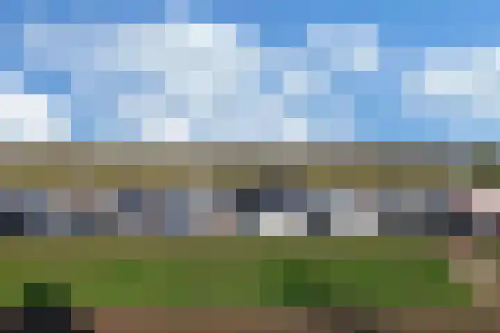 Ooster Vlaerdinge 85 Heerhugowaard thumbnail 47