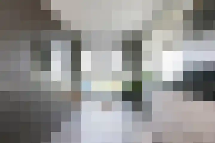 Ooster Vlaerdinge 85 Heerhugowaard thumbnail 6