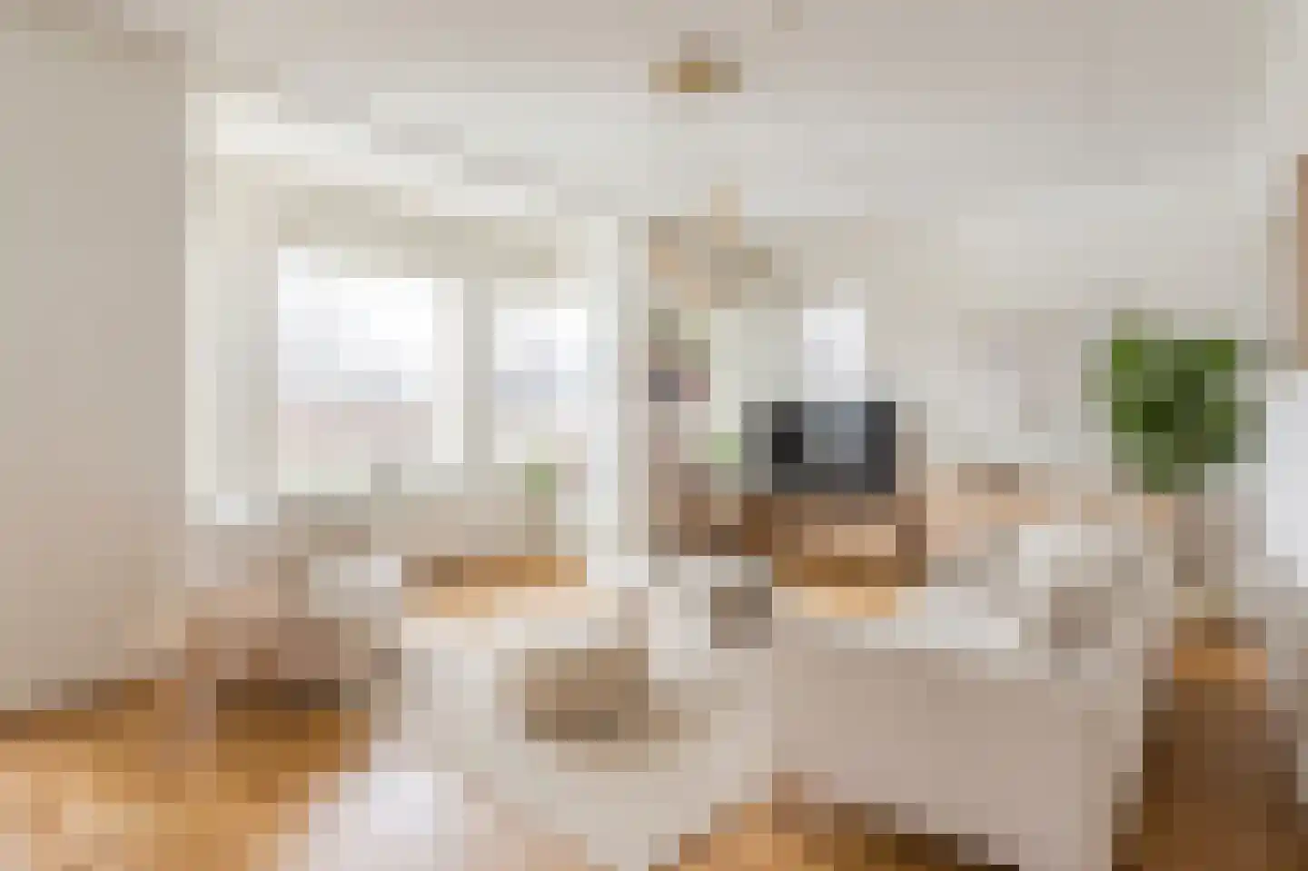 Oosterakker 11 de Wijk thumbnail 11