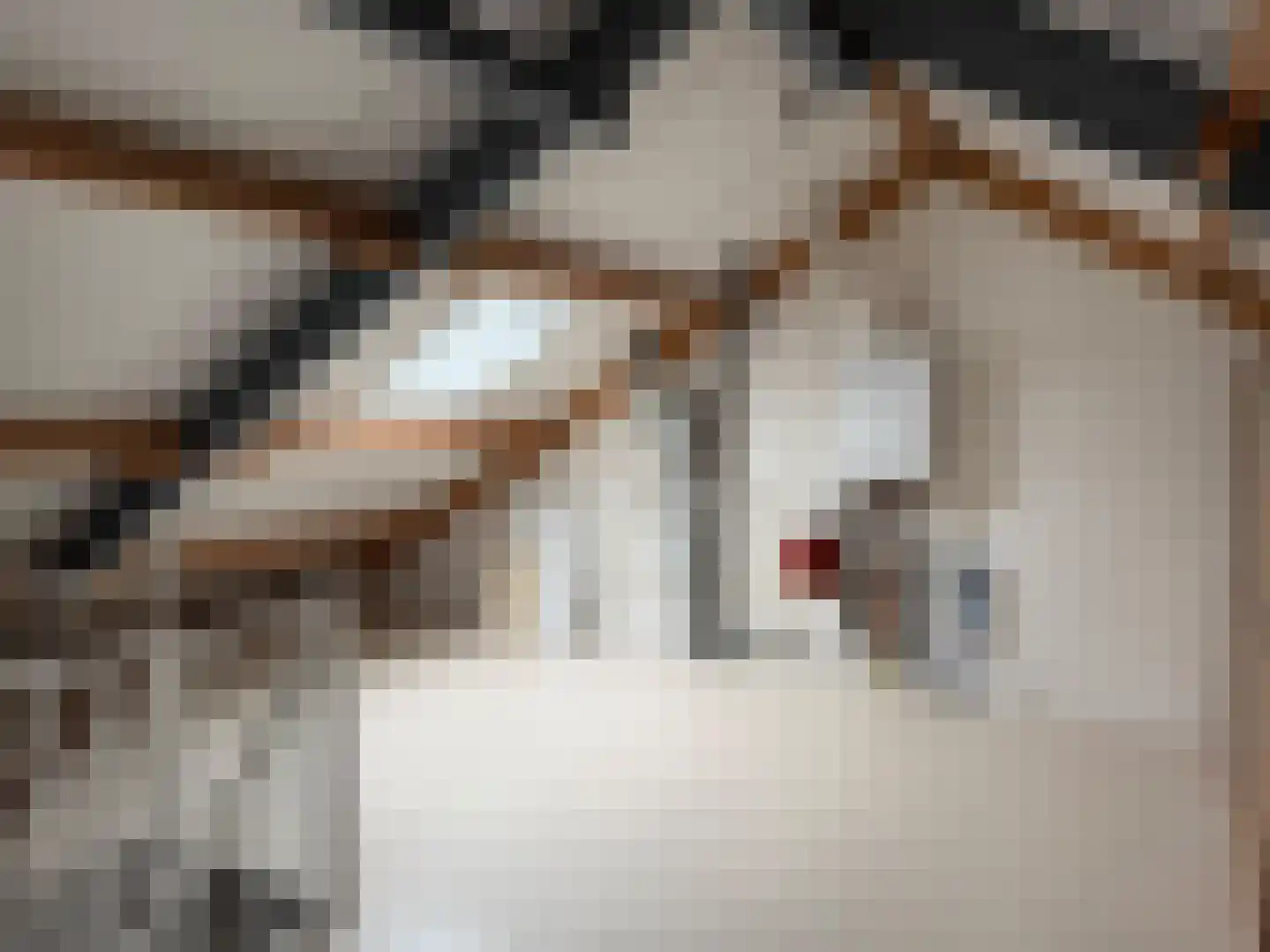 Oosterakker 11 de Wijk thumbnail 48