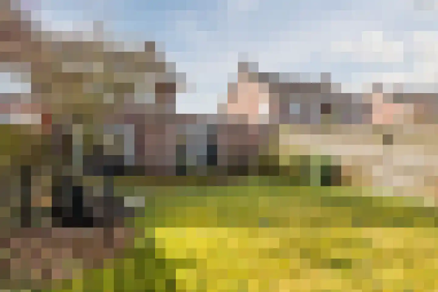 Oosterakker 11 de Wijk thumbnail 52