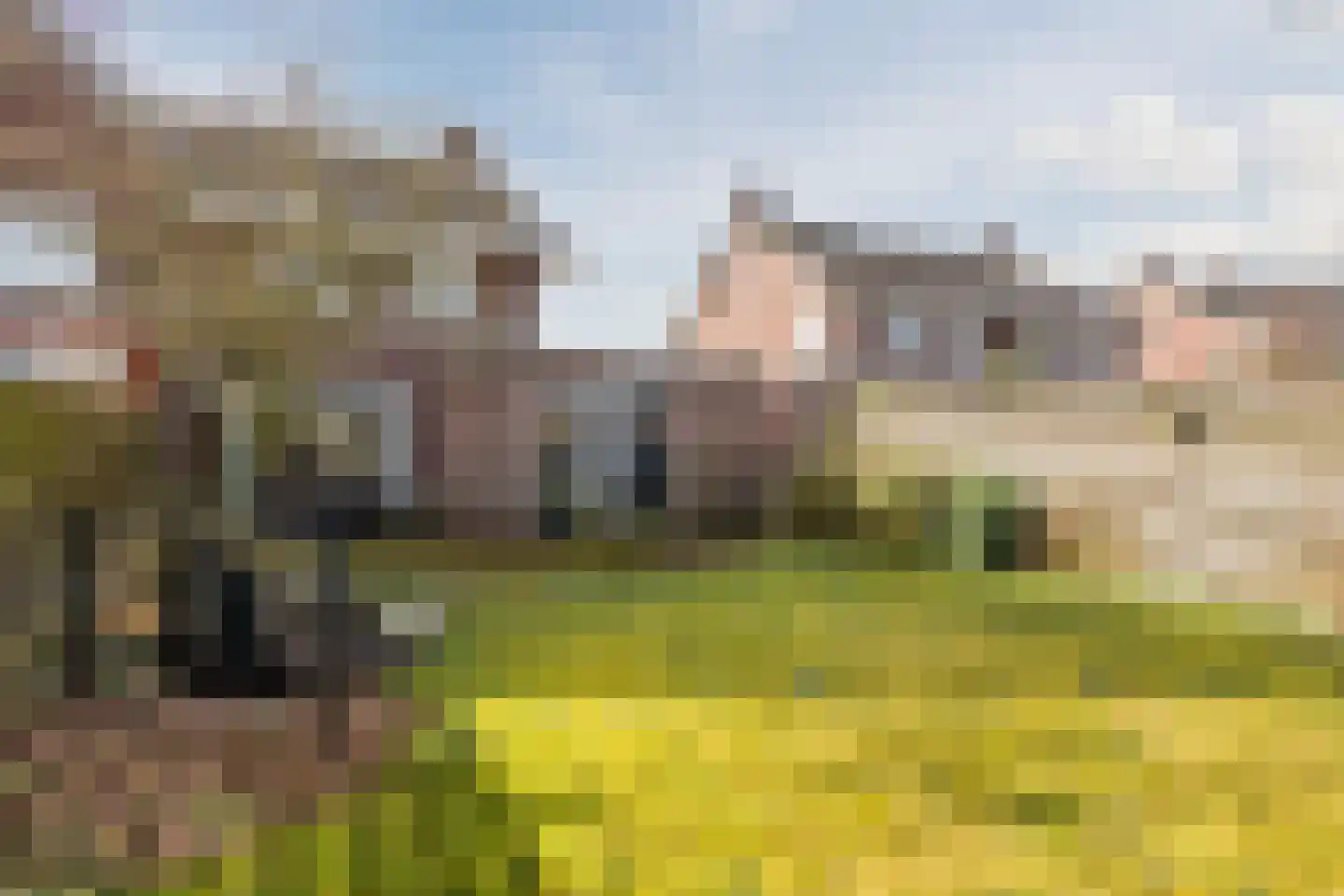Oosterakker 11 de Wijk thumbnail 53