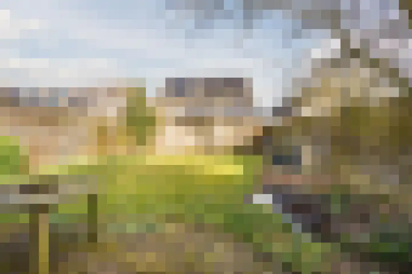 Oosterakker 11 de Wijk thumbnail 54