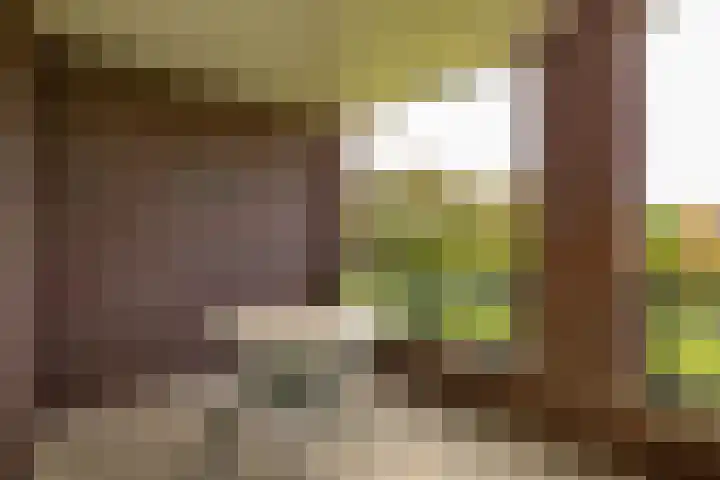 Oosterakker 12 de Wijk thumbnail 19
