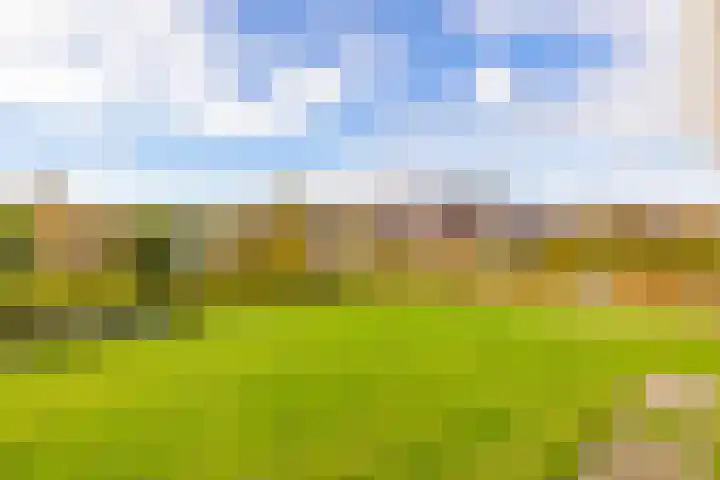 Oosterakker 12 de Wijk thumbnail 21