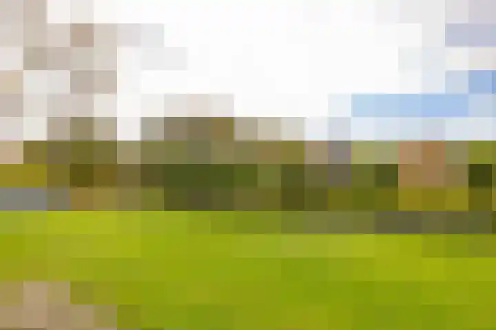 Oosterakker 12 de Wijk thumbnail 22