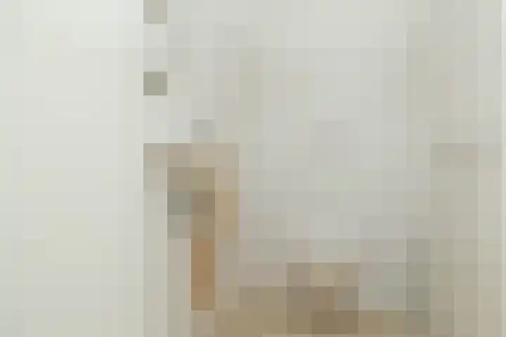 Oosterakker 12 de Wijk thumbnail 26
