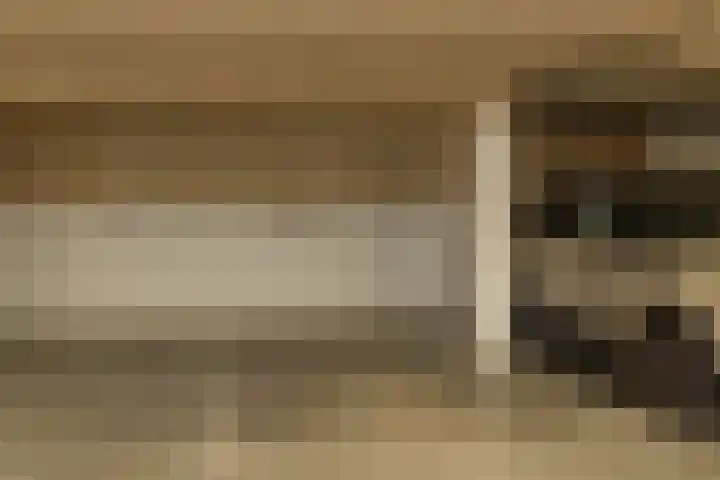 Oosterakker 12 de Wijk thumbnail 39