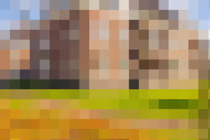 Oosterakker 12 de Wijk thumbnail 4