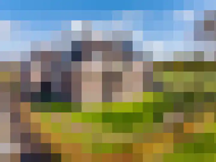 Oosterakker 12 de Wijk thumbnail 41