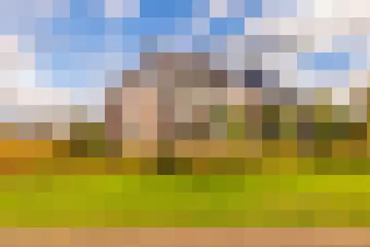 Oosterakker 12 de Wijk thumbnail 43