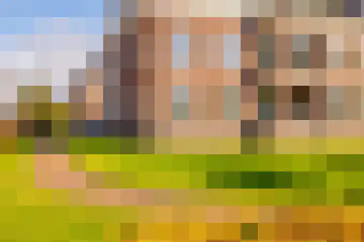 Oosterakker 12 de Wijk thumbnail 44