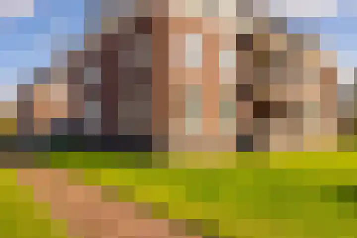 Oosterakker 12 de Wijk thumbnail 45