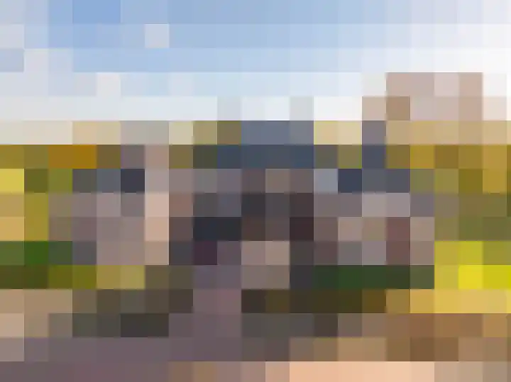 Oosterakker 12 de Wijk thumbnail 47