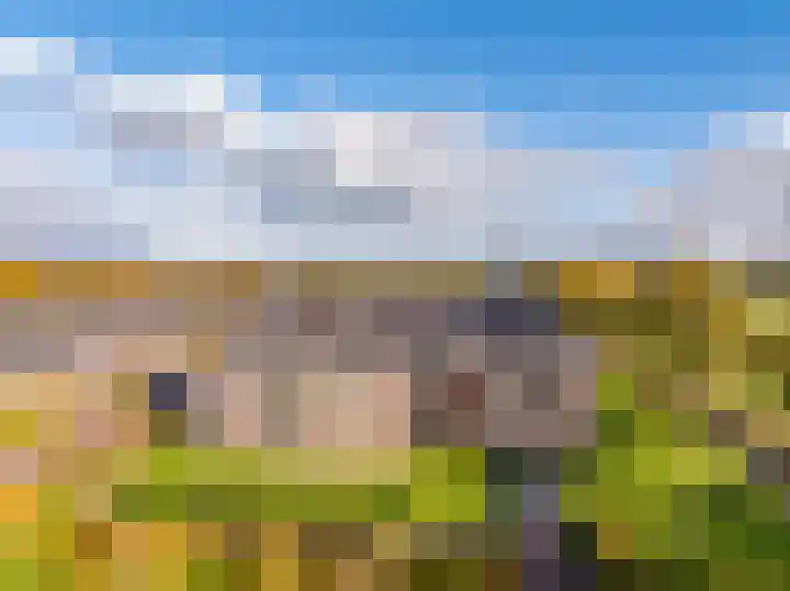 Oosterakker 12 de Wijk thumbnail 48