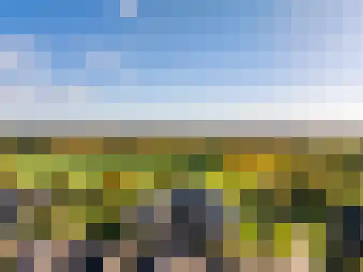 Oosterakker 12 de Wijk thumbnail 50
