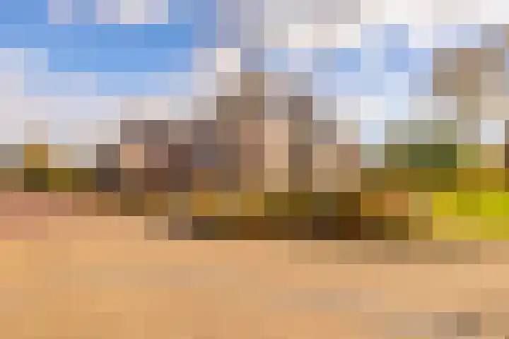 Oosterakker 12 de Wijk thumbnail 51
