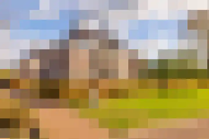 Oosterakker 12 de Wijk thumbnail 52