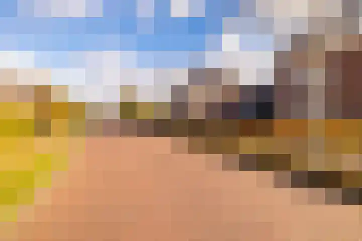 Oosterakker 12 de Wijk thumbnail 55